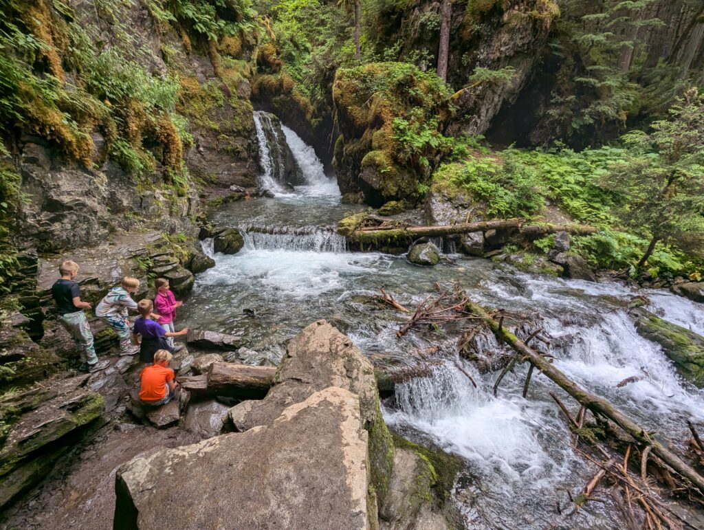 Young children playing on rocks near a waterfall in a mossy forest