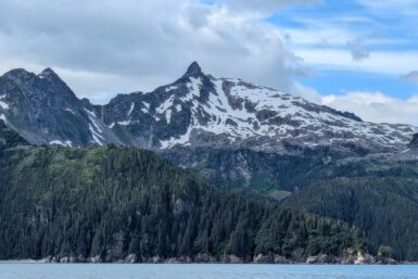 A pointy mountain peak with snow sticks out above green trees and a sea in Kenai Fjords