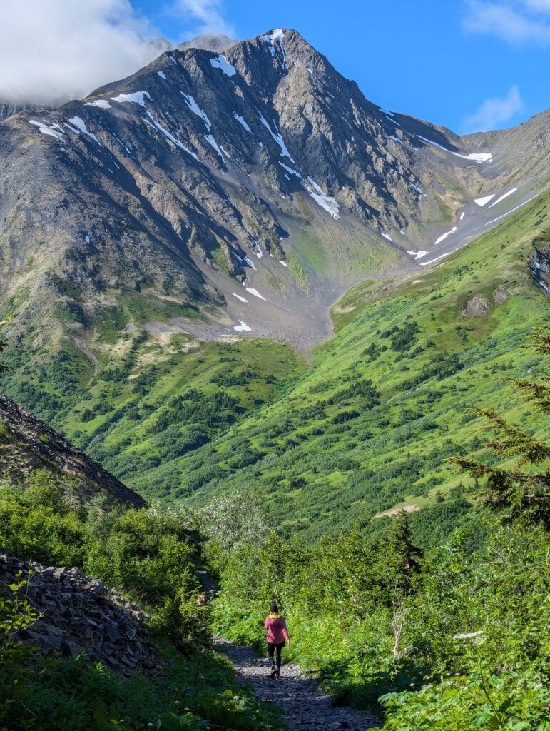 A large mountain peak looms over a hiker surrounded by greenery in Alaska