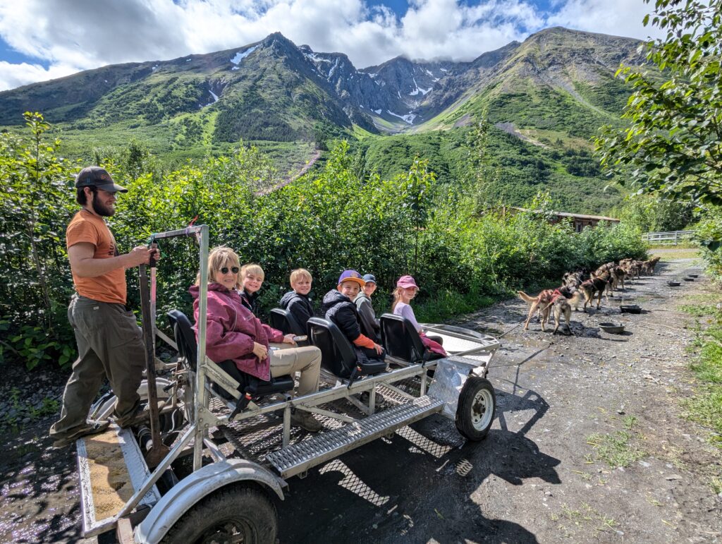 A group of mostly children on a wheeled vehicle with dogs ready to pull it 