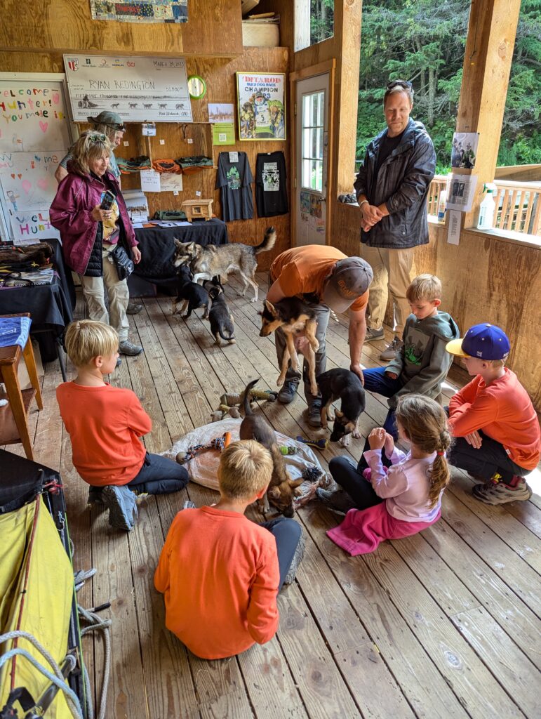 Kids on a wooden floor playing with puppies while adults watch