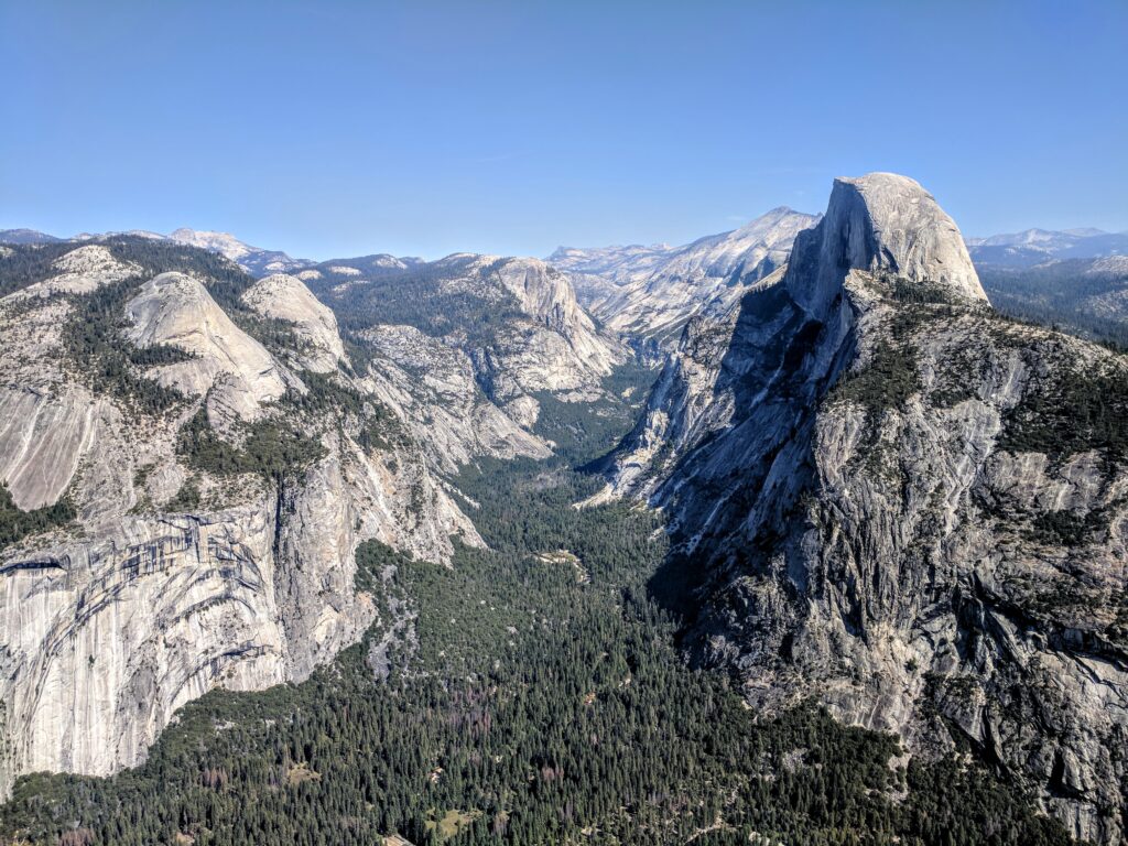 A prominent Half Dome high above a forested meadow