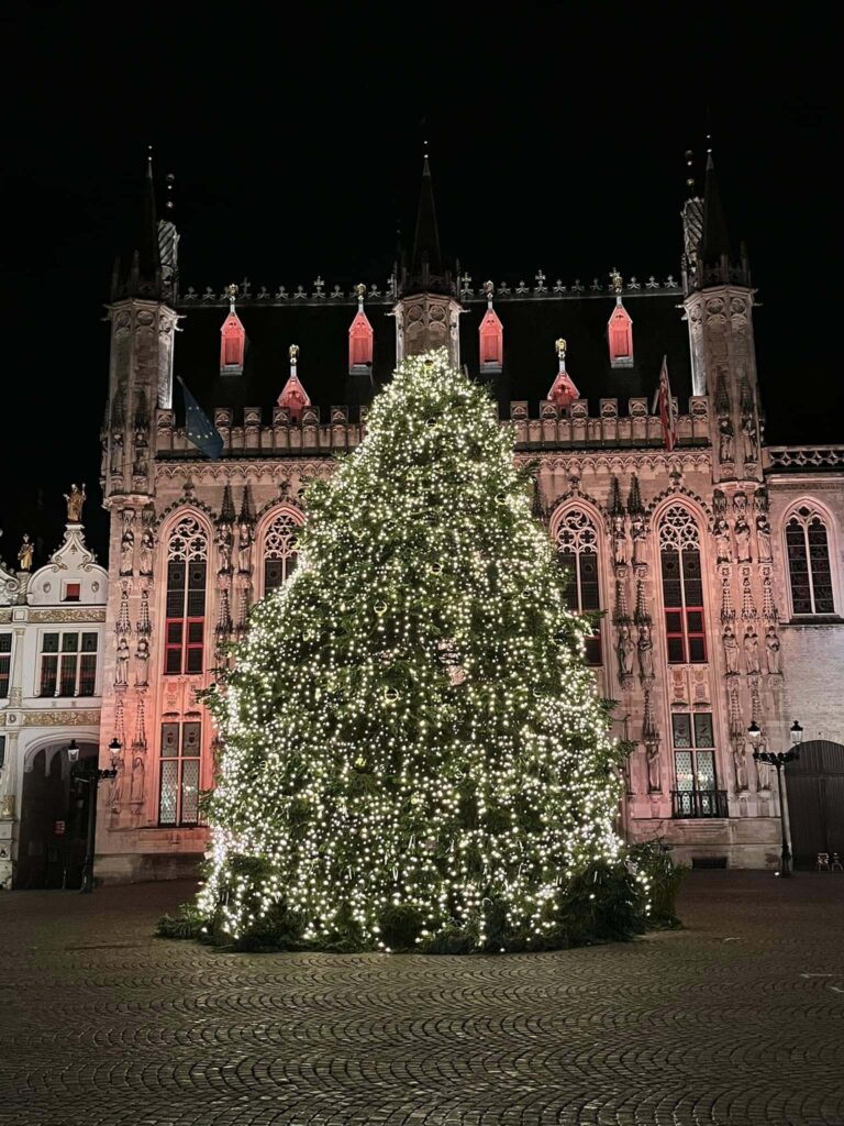 A large lit Christmas tree in front of a large building in Bruges, Belgium