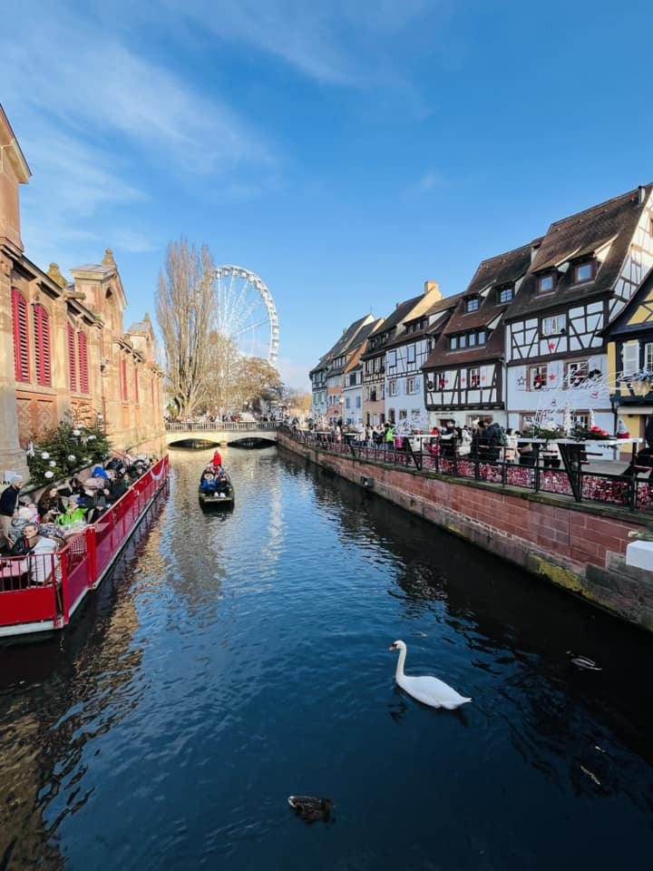 A swan and boat in a canal with a ferris wheel at the end of the water in Colmar